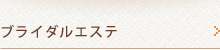 �u���C�_���G�X�e